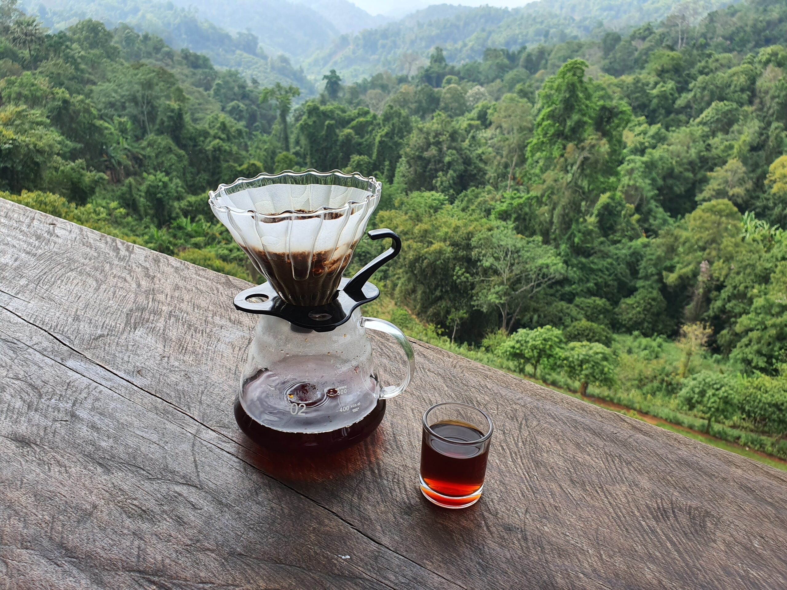 A breathtaking view of the Mae Hong Son mountains with a cup of Rodlamoon specialty coffee, symbolizing the future of our coffee journey.