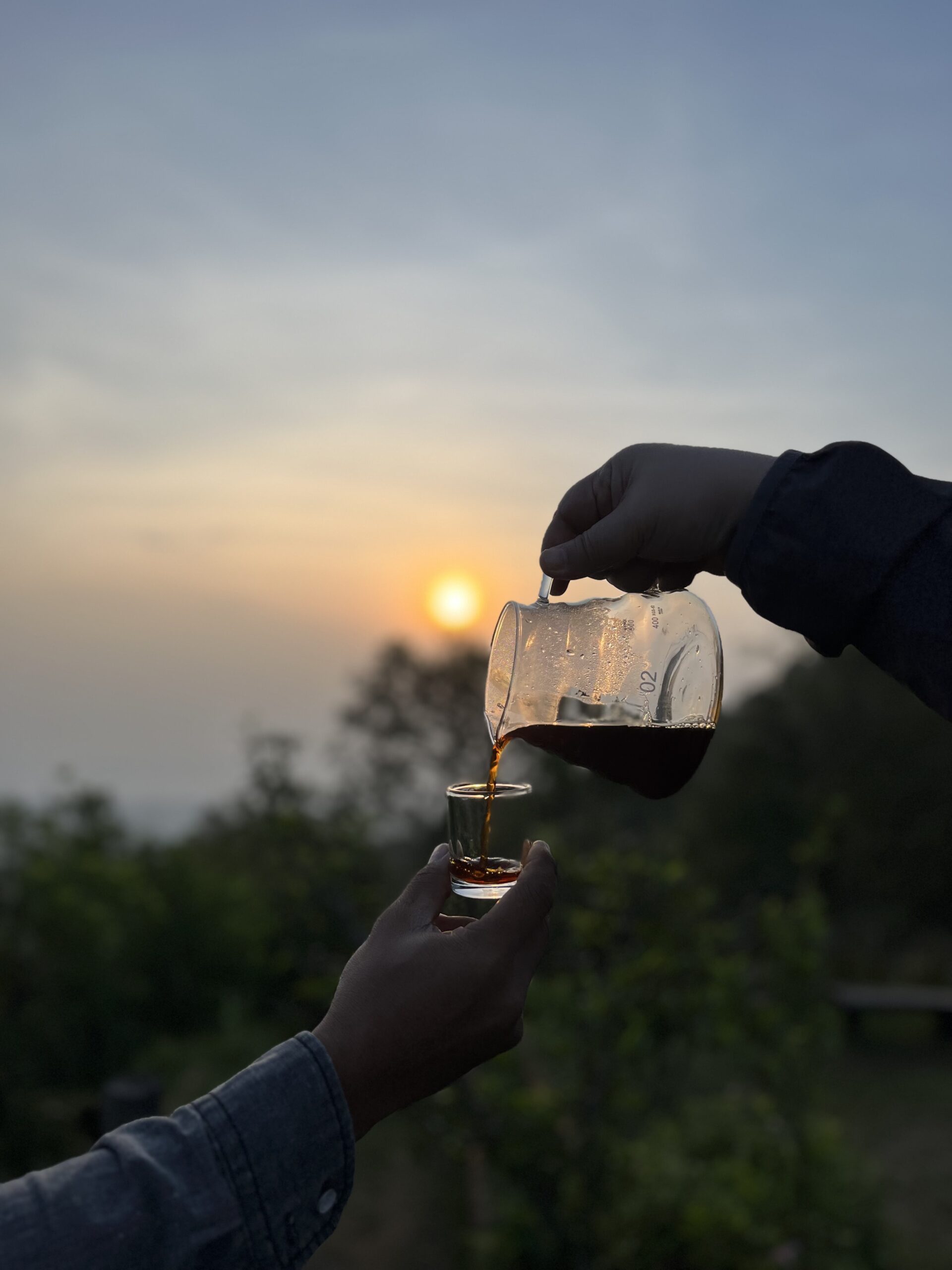 Hand pouring water from a black gooseneck kettle into a glass V60 dripper with a breathtaking sea of mist and mountains at Huai Nam Dang National Park, Mae Hong Son, Thailand.