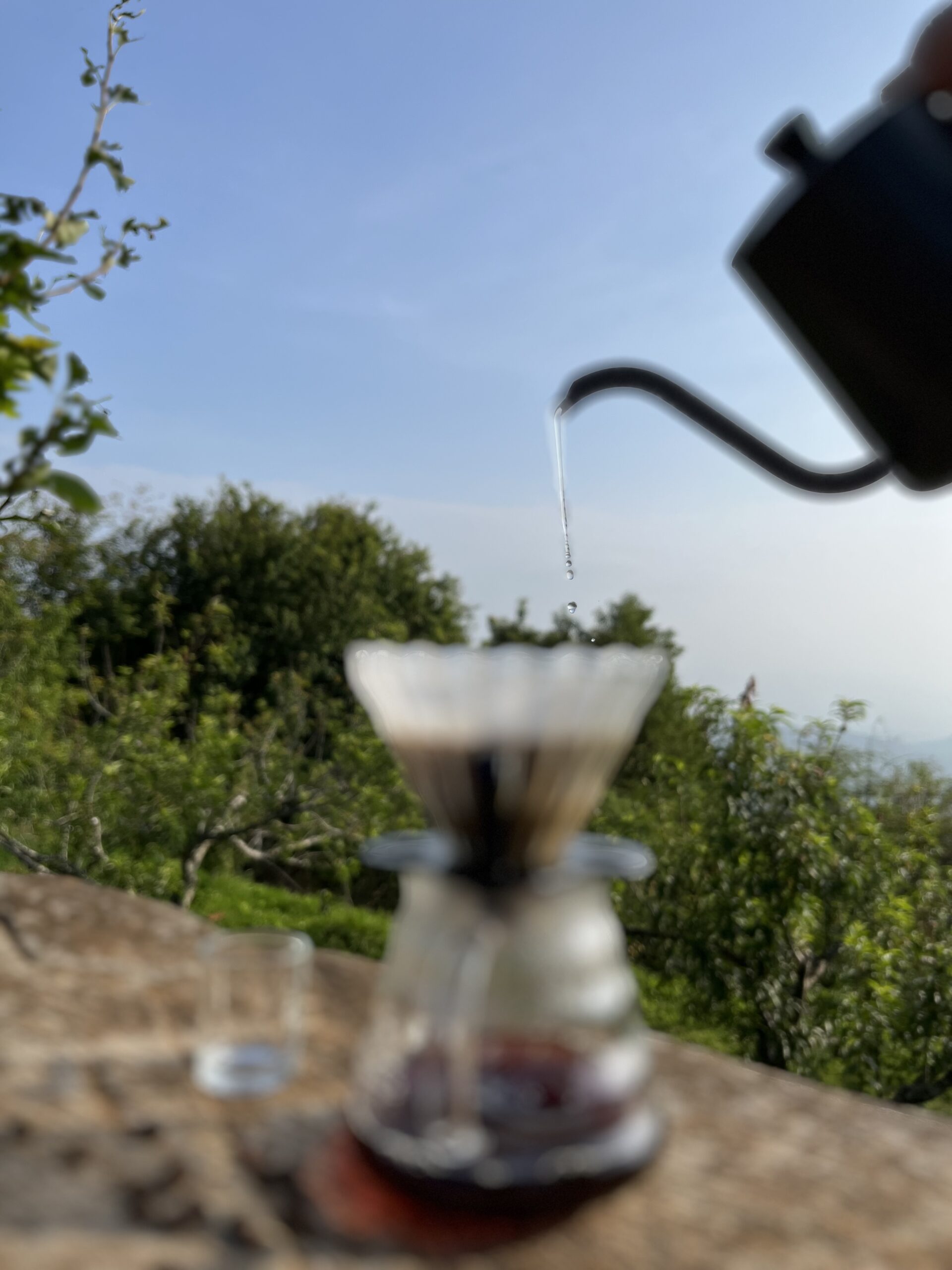 Close-up of a steady water pour from a gooseneck kettle into a coffee dripper, demonstrating the perfect bloom and extraction.